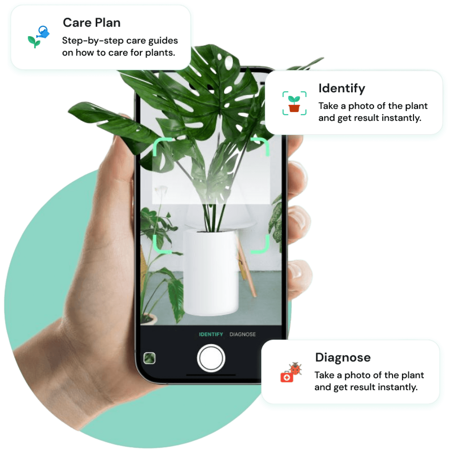 PlantCam App Plant identification, Care guides